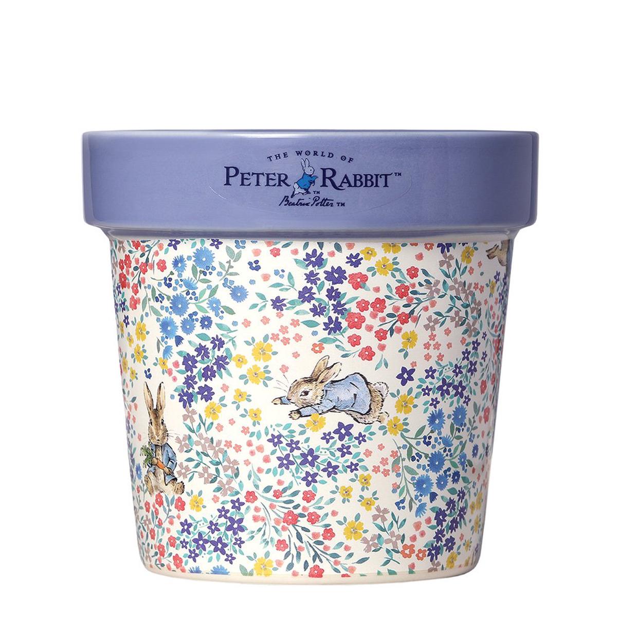 Peter Rabbit Forget Me Not Candle